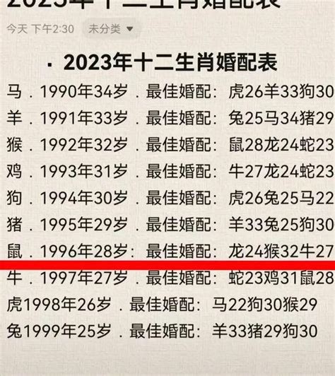 96年属|1996年属什么生肖